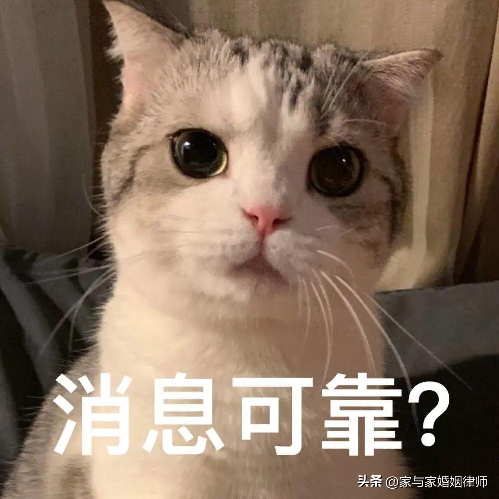 遗产继承要交税吗，遗产继承顺序及比例-1