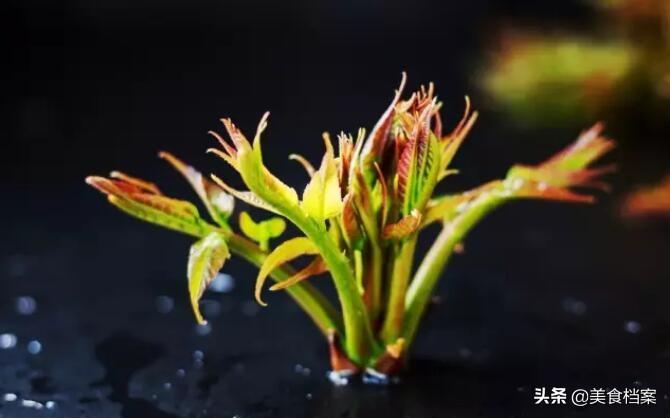 腌椿芽咸菜的家常做法-2