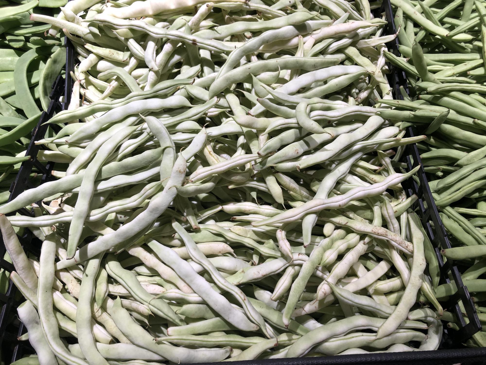 芸豆与四季豆有何区别？-7