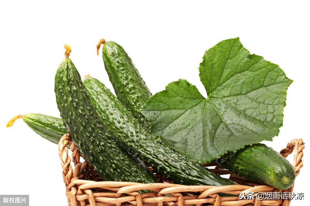 黄瓜常温保存还是冰箱冷藏（黄瓜放20多天没有烂）-1