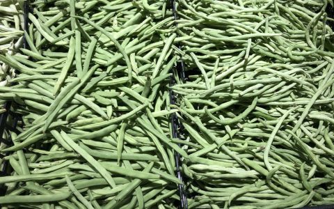 芸豆与四季豆有何区别？