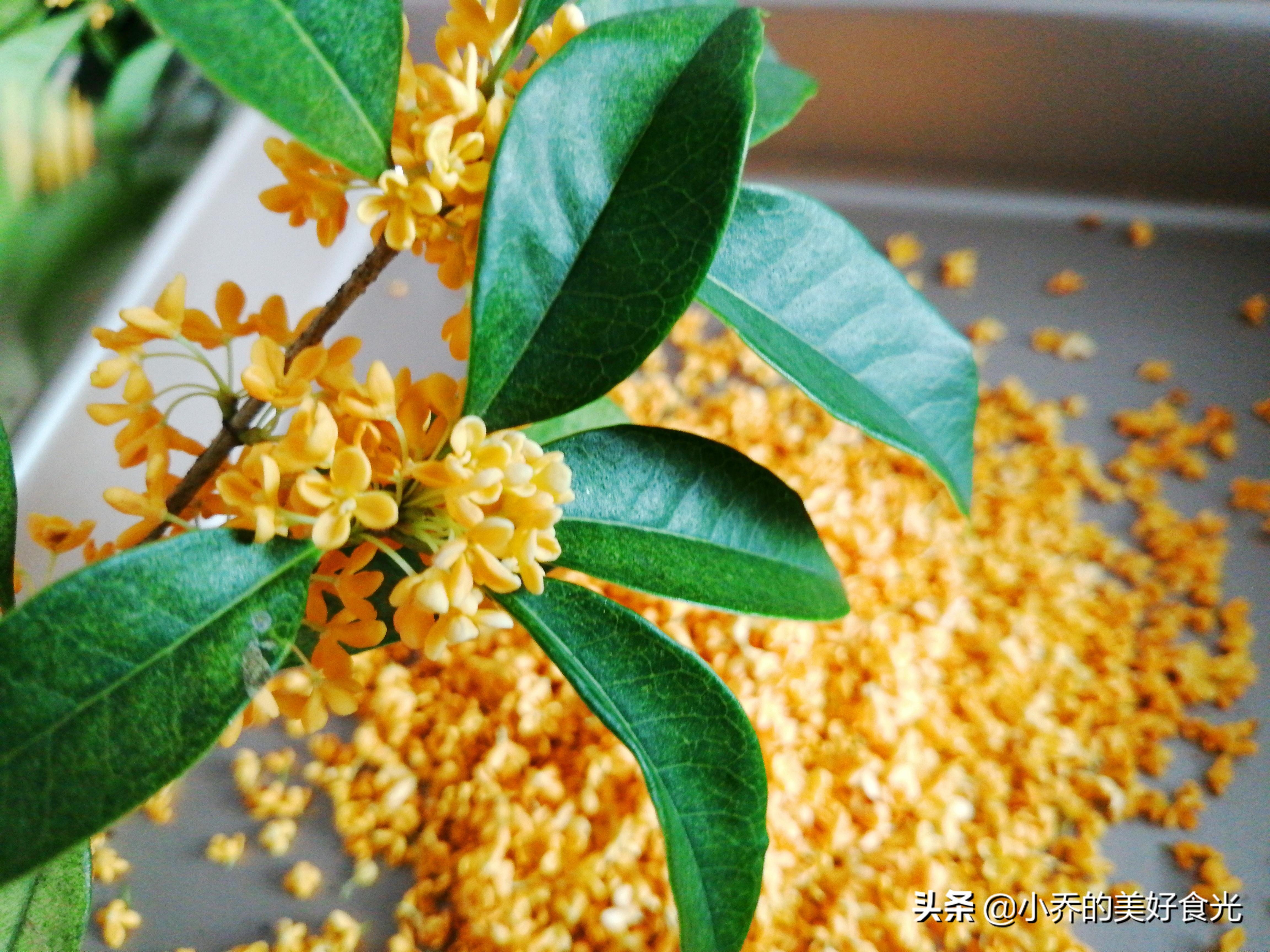 桂花糖的制作方法，怎样做桂花糖-5