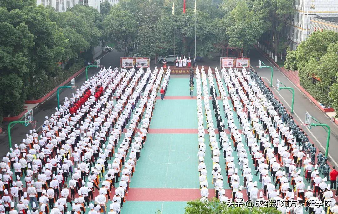 我想学炒菜（厨师可以去哪里学）-5