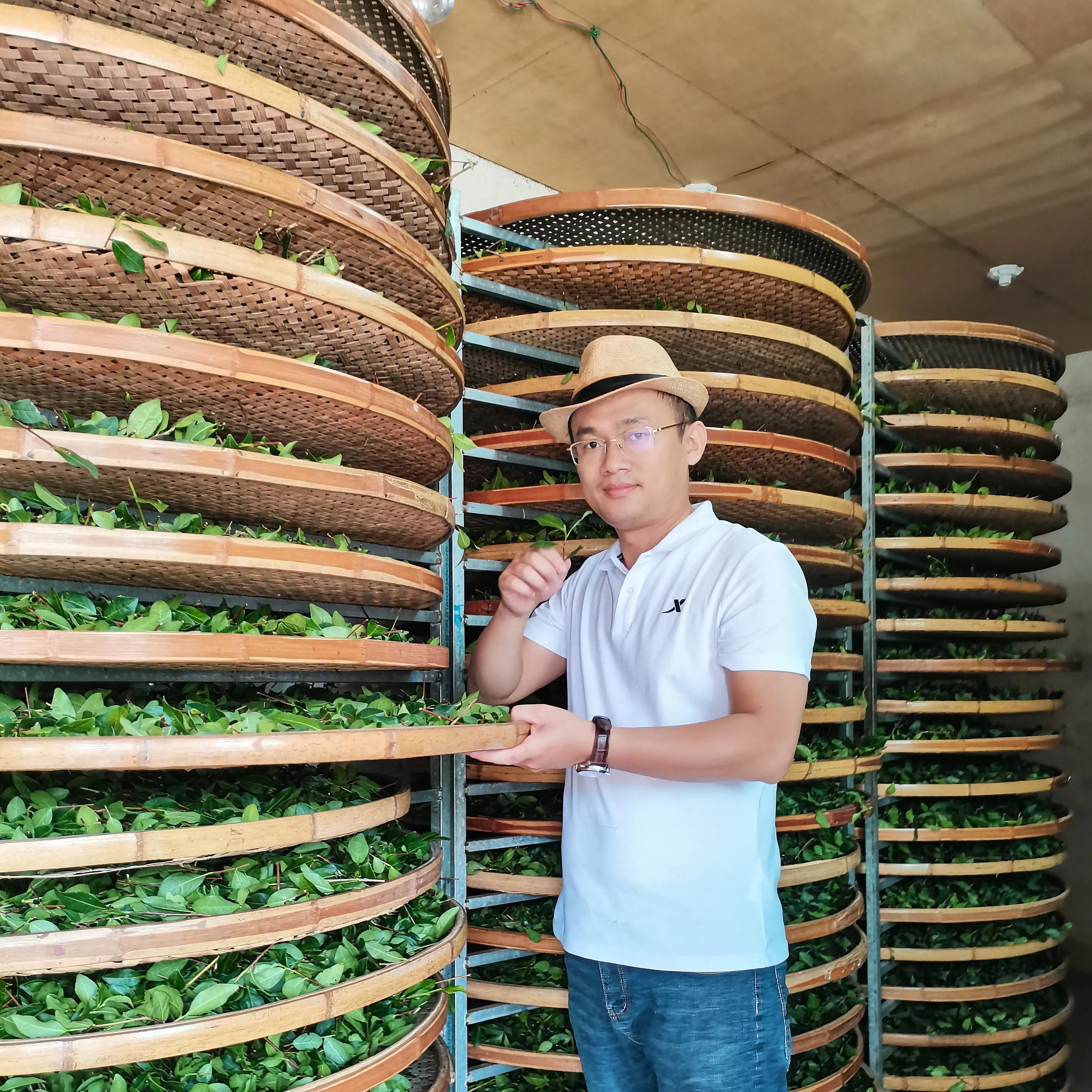 福建安溪铁观音多少钱一斤_福建安溪铁观音是绿茶吗-1