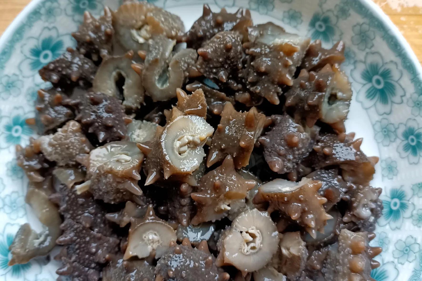 如何做葱烧海参好吃 （葱烧海参正宗做法）-3