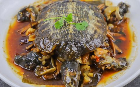 红烧甲鱼的家常做法简单（甲鱼红烧配什么好吃）