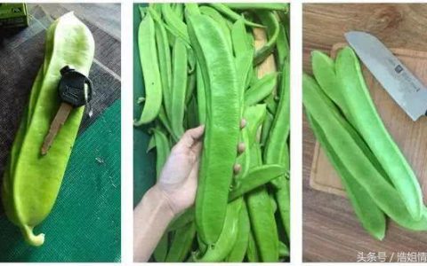 巨型大刀豆怎么做好吃（大刀豆怎么做好吃又简单）