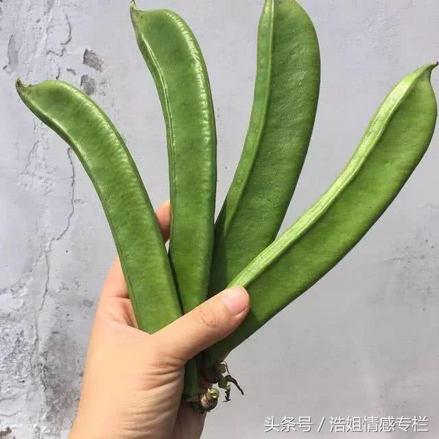 巨型大刀豆怎么做好吃（大刀豆怎么做好吃又简单）-2
