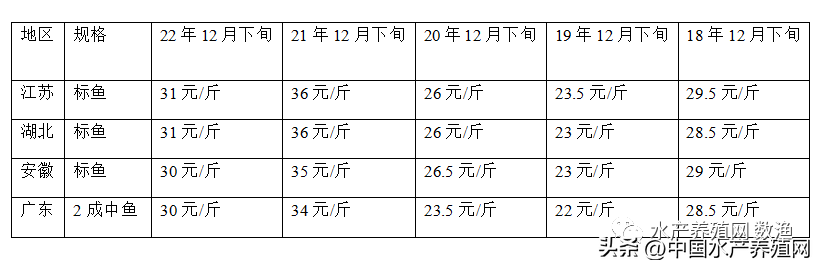 桂花鱼多少钱一斤2022年市场价(图文详解)-1