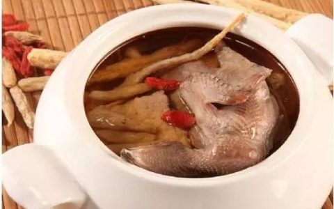 天麻炖鸽子好还是炖鸡好一些（饭店鸽子汤的做法）