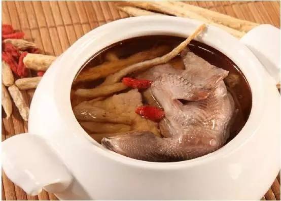 天麻炖鸽子好还是炖鸡好一些（饭店鸽子汤的做法）-1