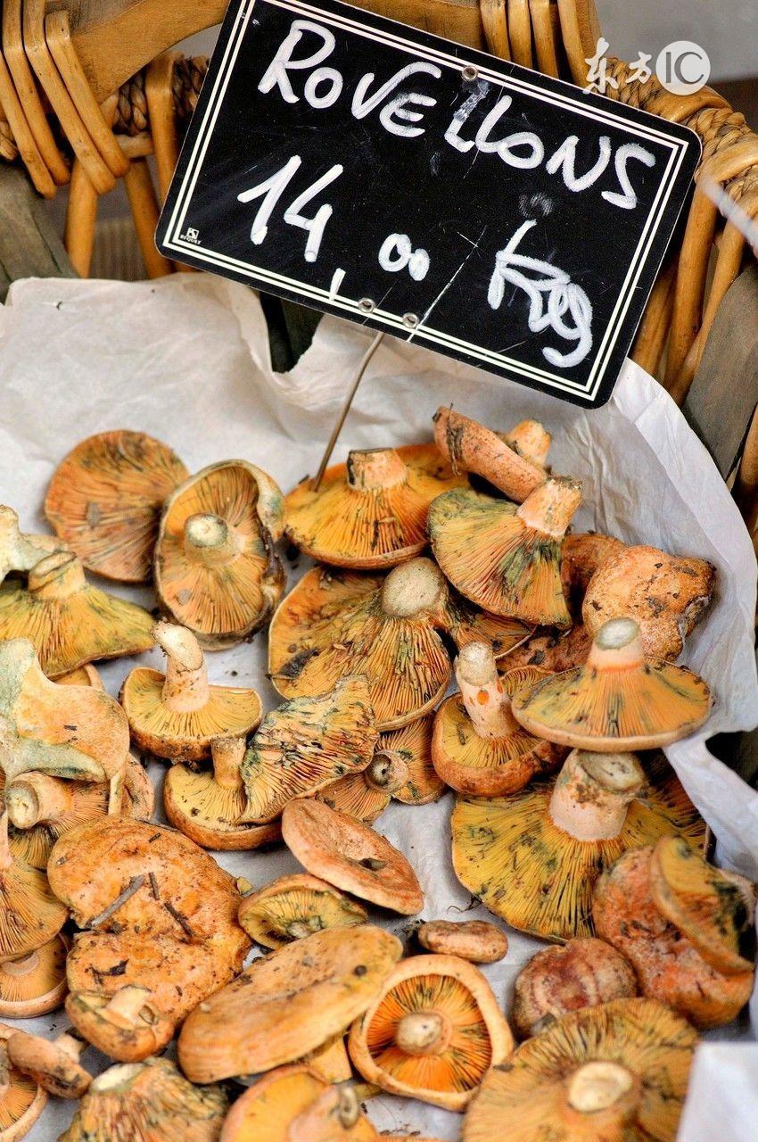 凤尾菇的做法大全菜谱（凤尾菇怎么烧好吃）-1
