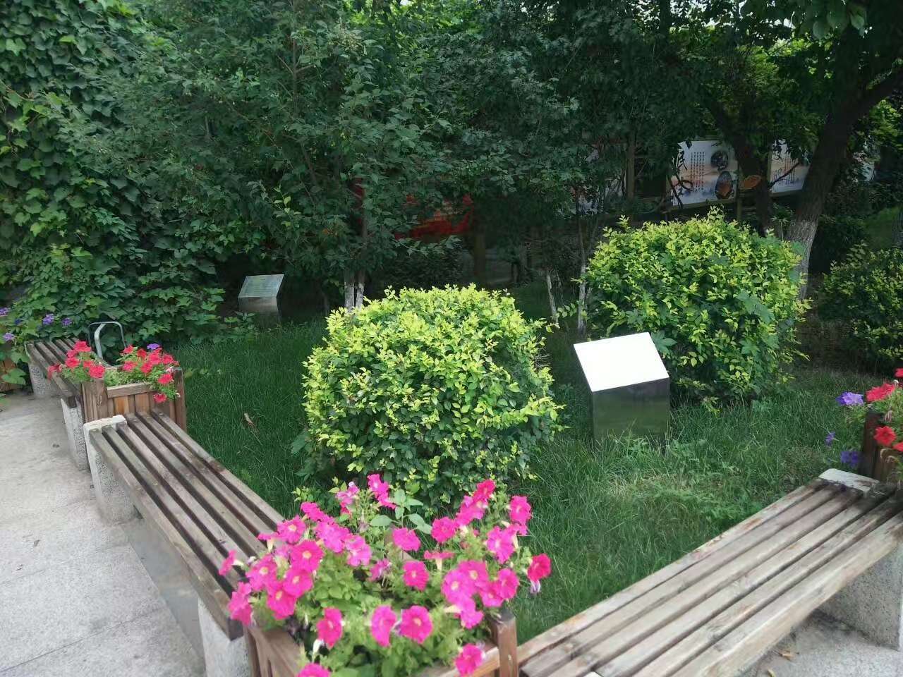 炸酱面暖暖的味道（详解）-6