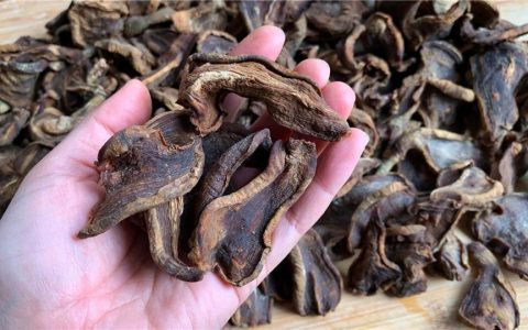 芥菜丝的腌制方法（晒干的芥菜疙瘩怎么做好吃）