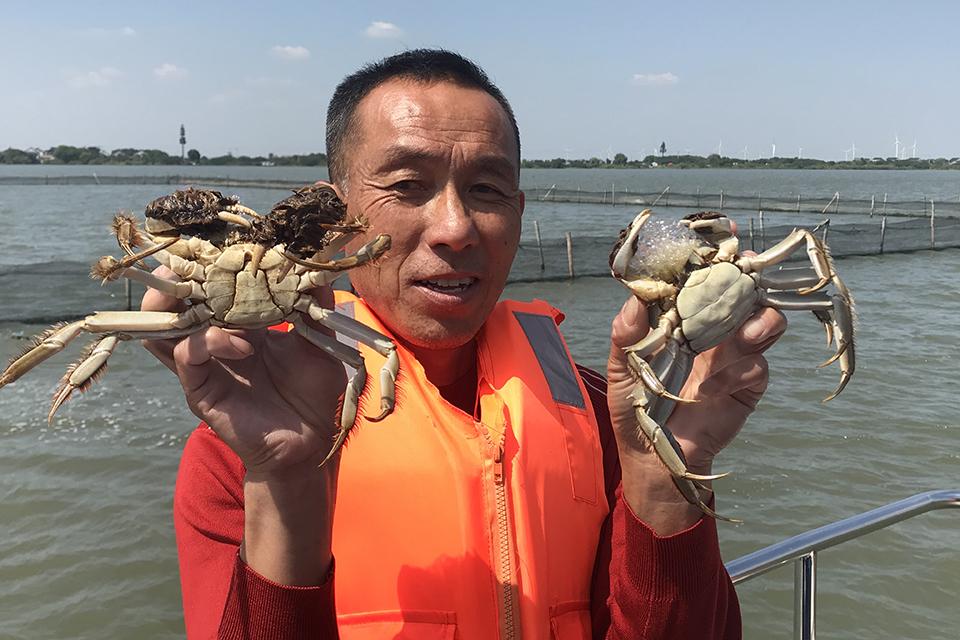 国内大闸蟹哪个品牌好（中国十大名蟹大闸蟹）-7
