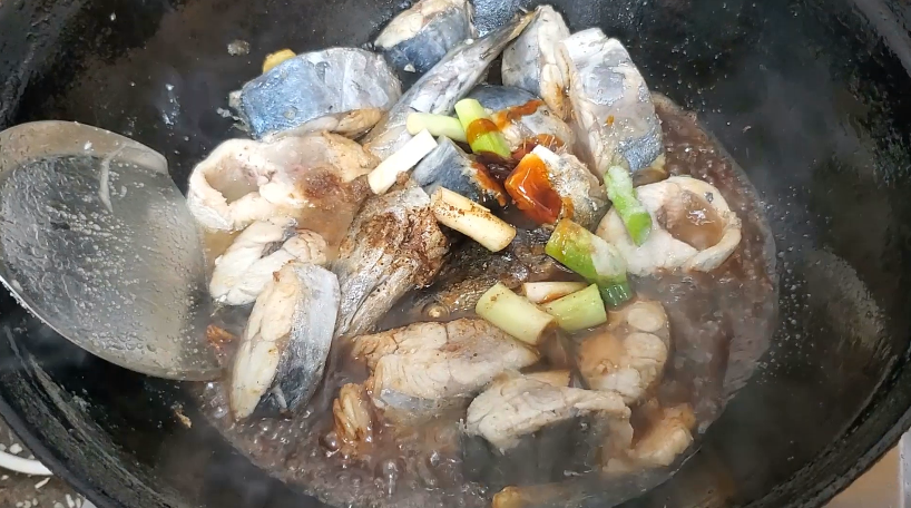 怎样炖鲅鱼不腥又好吃（鲅鱼的简单家常做法）-4