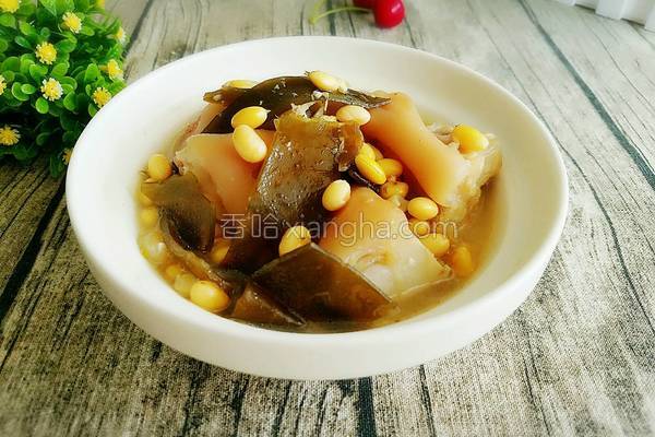 黄豆海带炖猪蹄的做法（猪脚可以和海带黄豆一起炖吗）-13