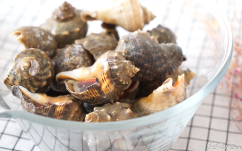 海螺怎么做好吃（海螺蘸酱怎么调制）