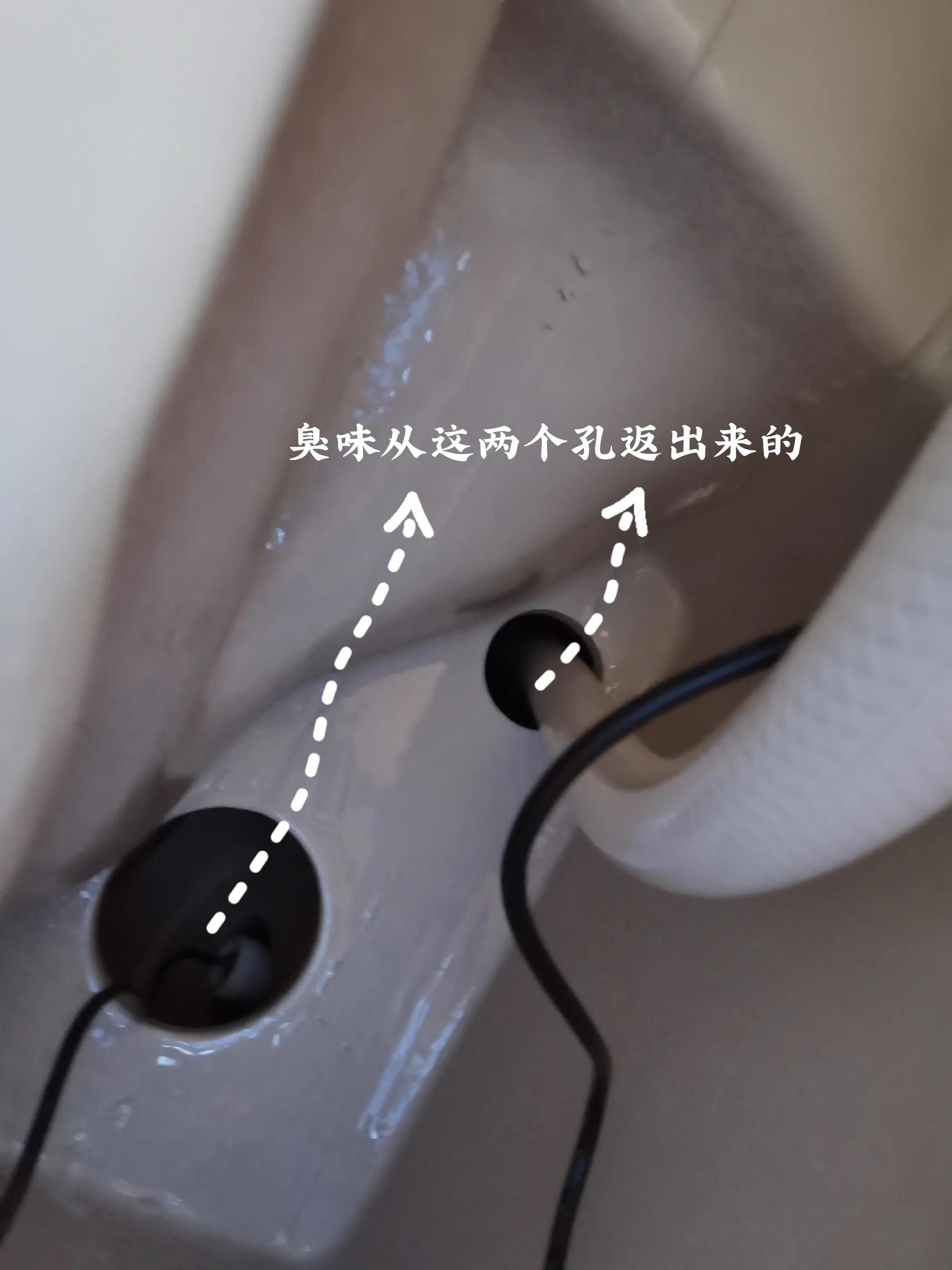 卫生间反味什么原因？-6