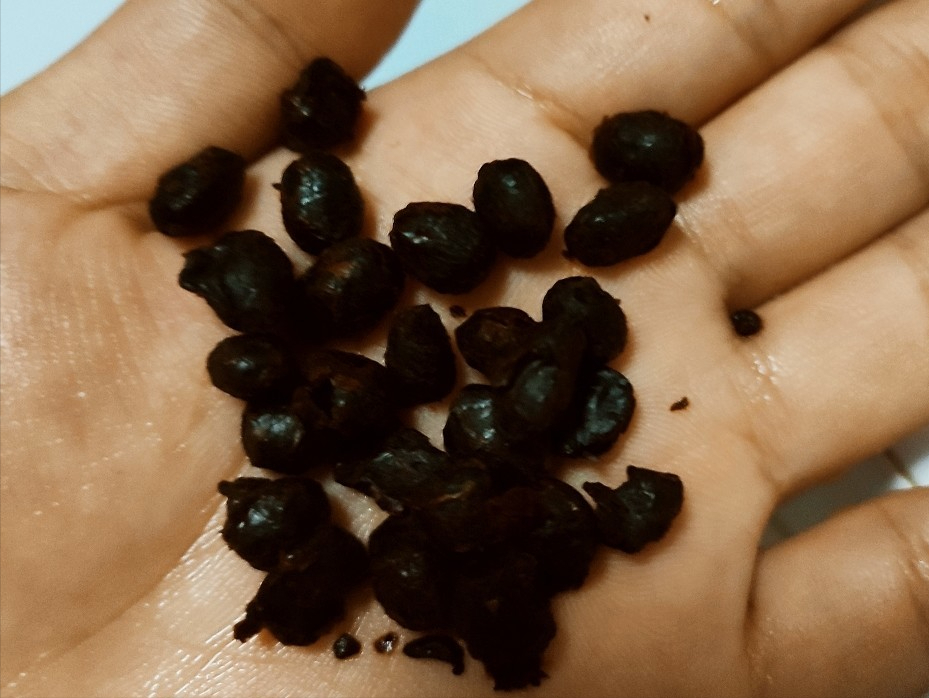 高压锅食谱简单做法，适合高压锅的菜谱大全-2