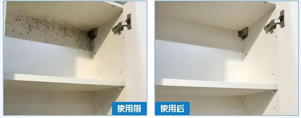 家里墙壁发霉发黑怎么办_墙面除霉剂真的能去除霉吗-8