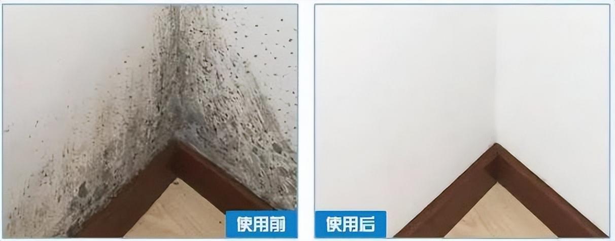 家里墙壁发霉发黑怎么办_墙面除霉剂真的能去除霉吗-6