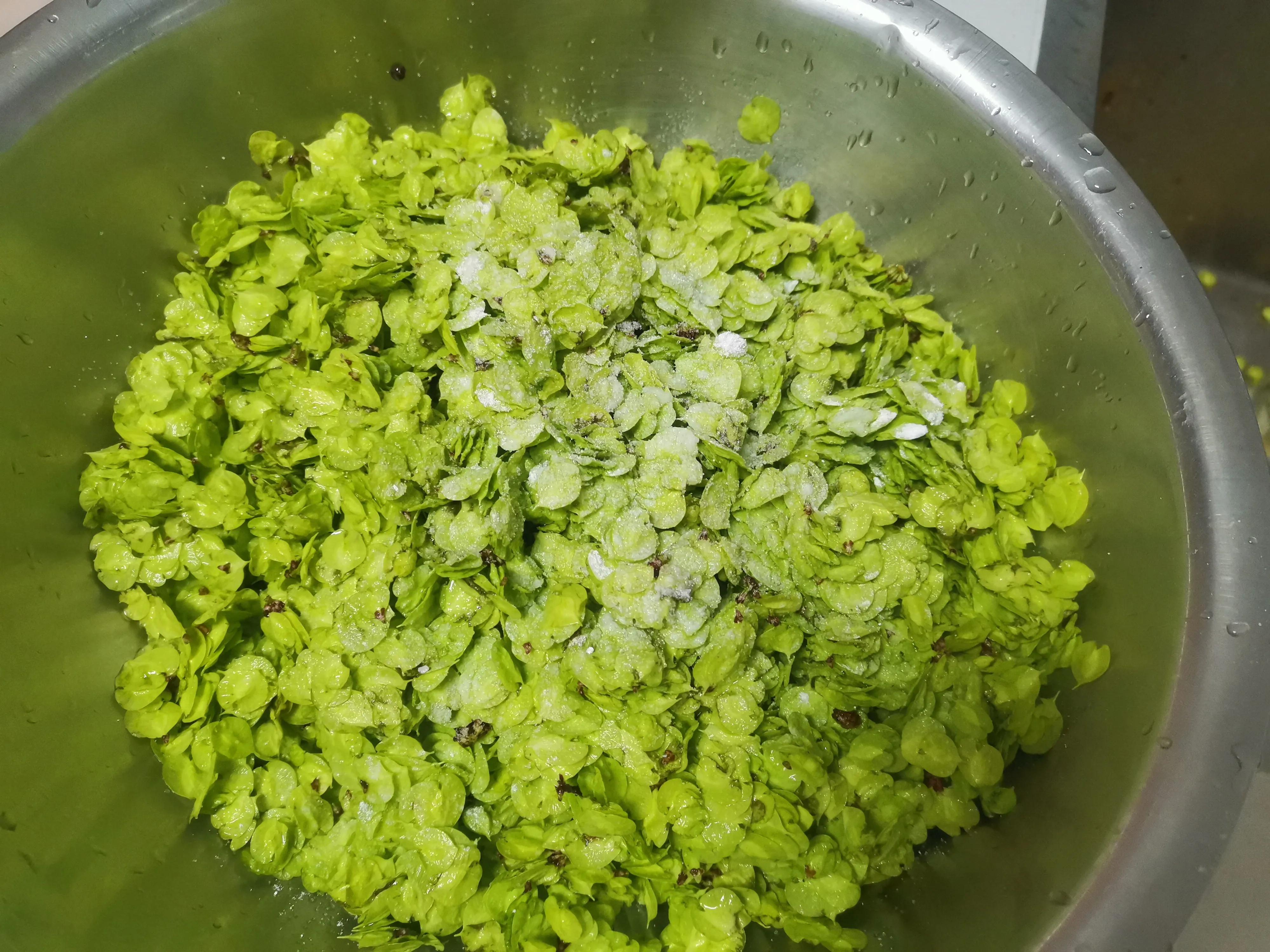 榆钱怎么做才好吃又简单（榆钱怎么做最好吃）-5