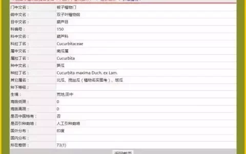万圣节的南瓜怎么说 万圣节南瓜叫什么名字？？