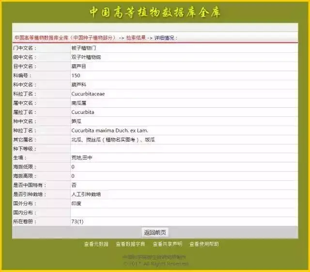 万圣节的南瓜怎么说 万圣节南瓜叫什么名字？？-1