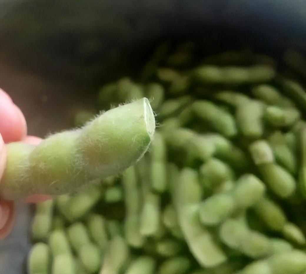 知了怎么做好吃又简单（河南人的下酒菜）-8