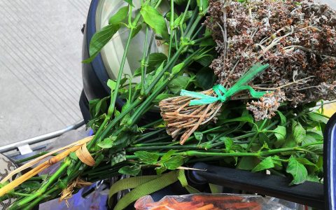 五色米饭用什么颜料染的（紫色糯米饭的植物染料）