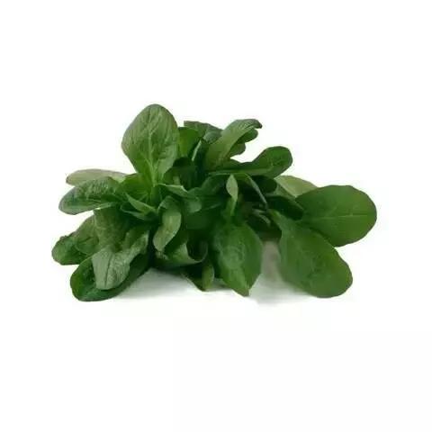 蔬菜沙拉一般用什么蔬菜？-9