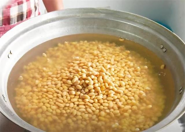 怎样做豆豉好吃（黄豆做豆浆怎么做）-2
