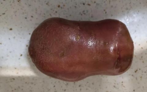 椒盐土豆饼的家常做法（土豆饼怎么做）