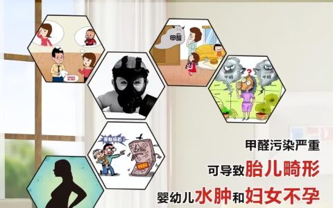 装修甲醛怎么快速去除_屋内甲醛怎样快速清除