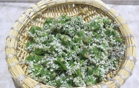 韭菜花的做法大全窍门_干韭菜花怎么做最好吃-4