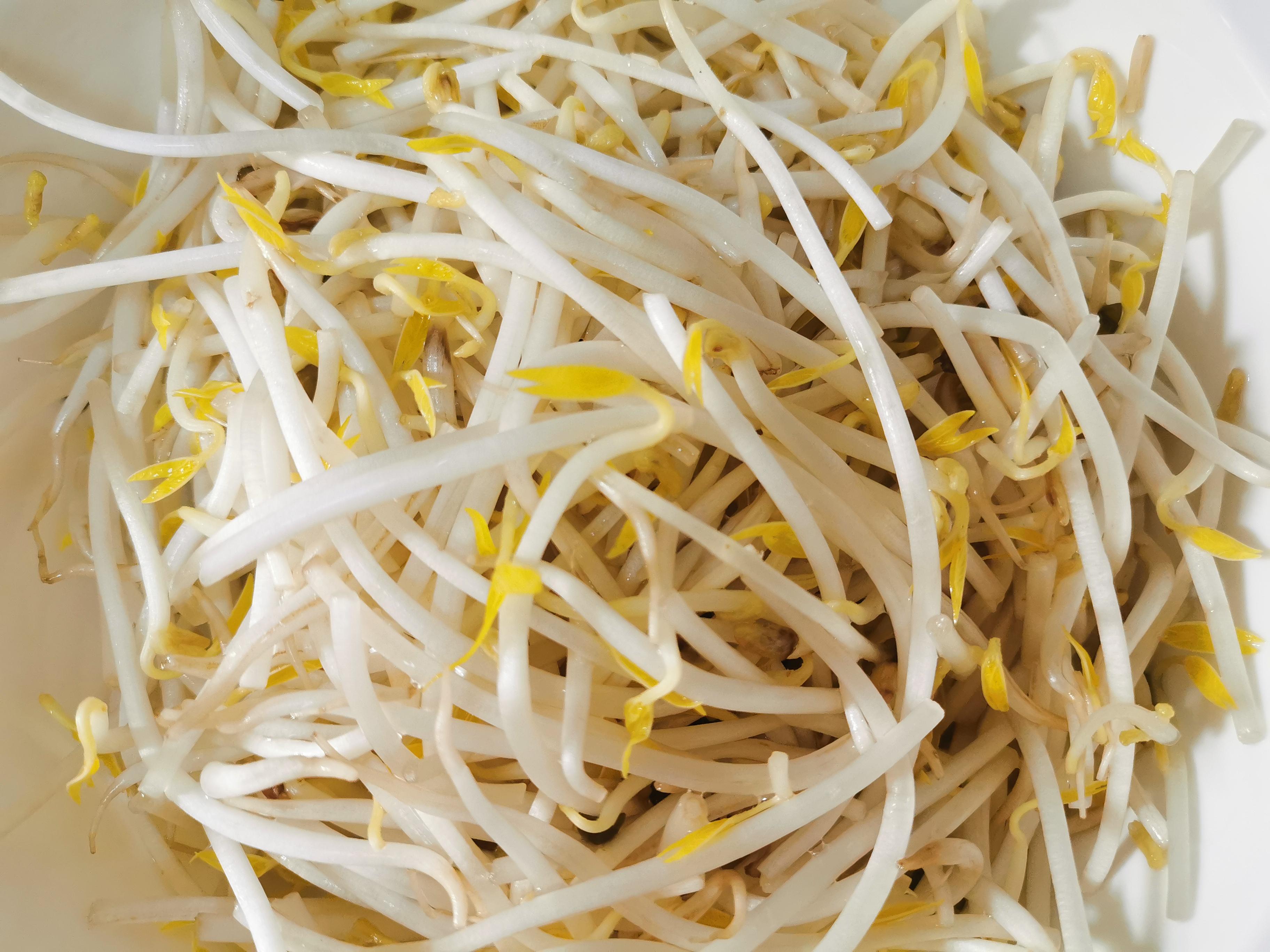 豆芽炒饼丝的家常做法（豆芽炒饼怎么炒好吃又简单）-3