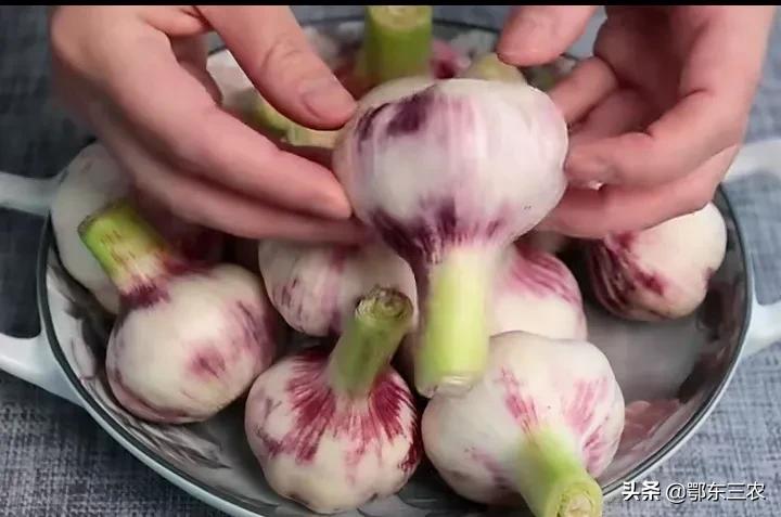 糖醋蒜的腌制方法 （糖醋蒜的正宗做法）-1
