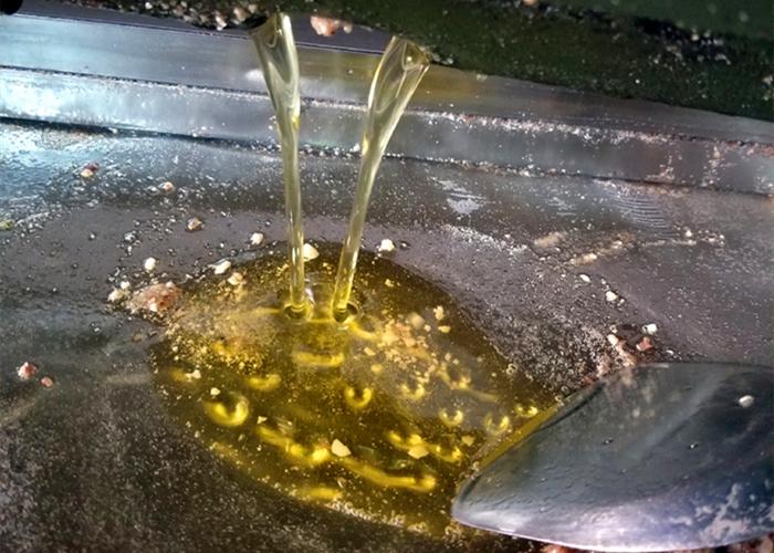沙拉油和色拉油的区别（色拉油和食用油哪个好吃）-1