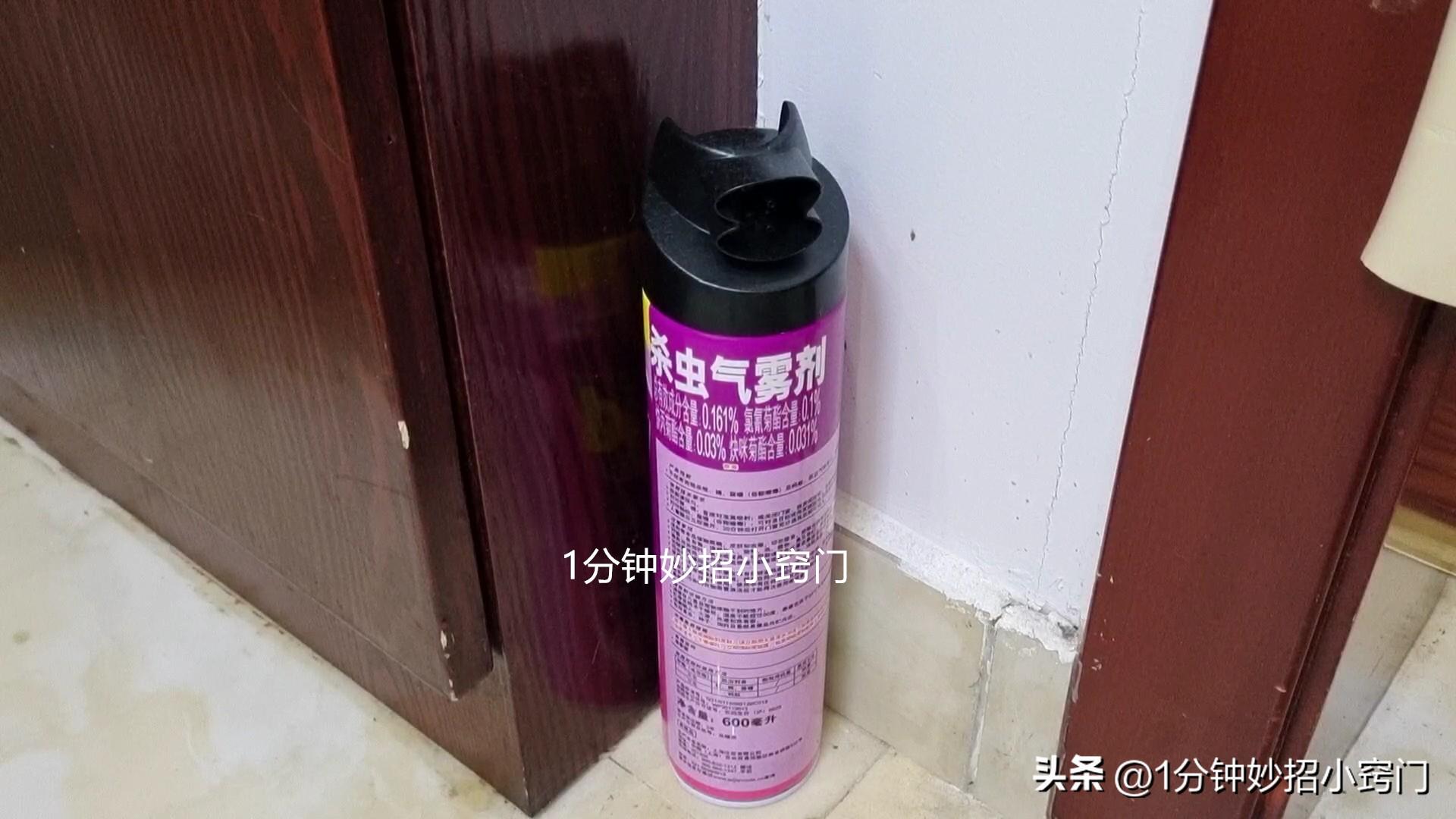 家里有小红蚂蚁怎么能彻底消灭？（值得收藏）-2