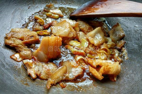 白菜猪肉炖粉条的家常做法 东北猪肉炖粉条白菜怎么做？-7