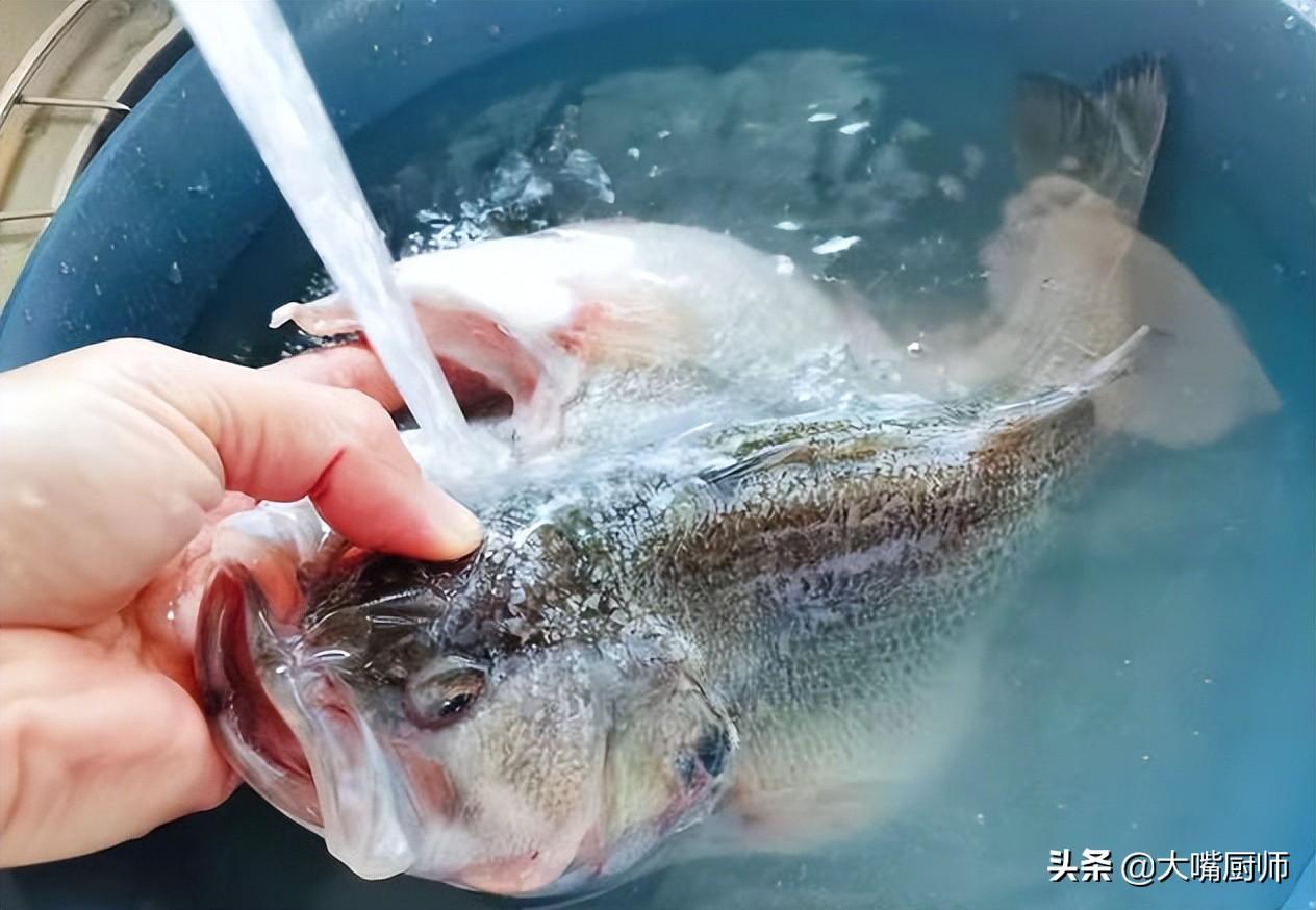 清蒸鱼做法最正宗的做法 蒸什么鱼刺少又好吃-4