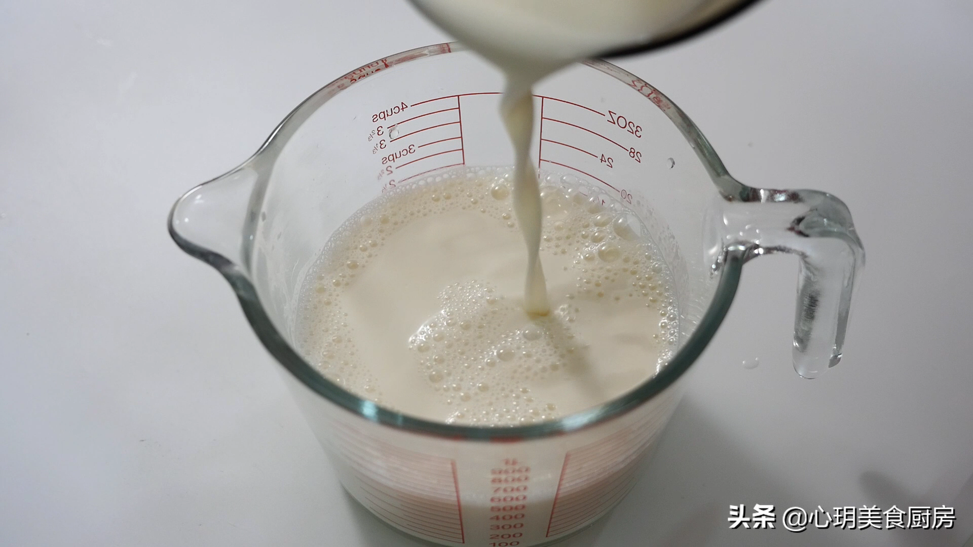 酸奶的制作方法家庭版（酸奶制作方法及过程）-9
