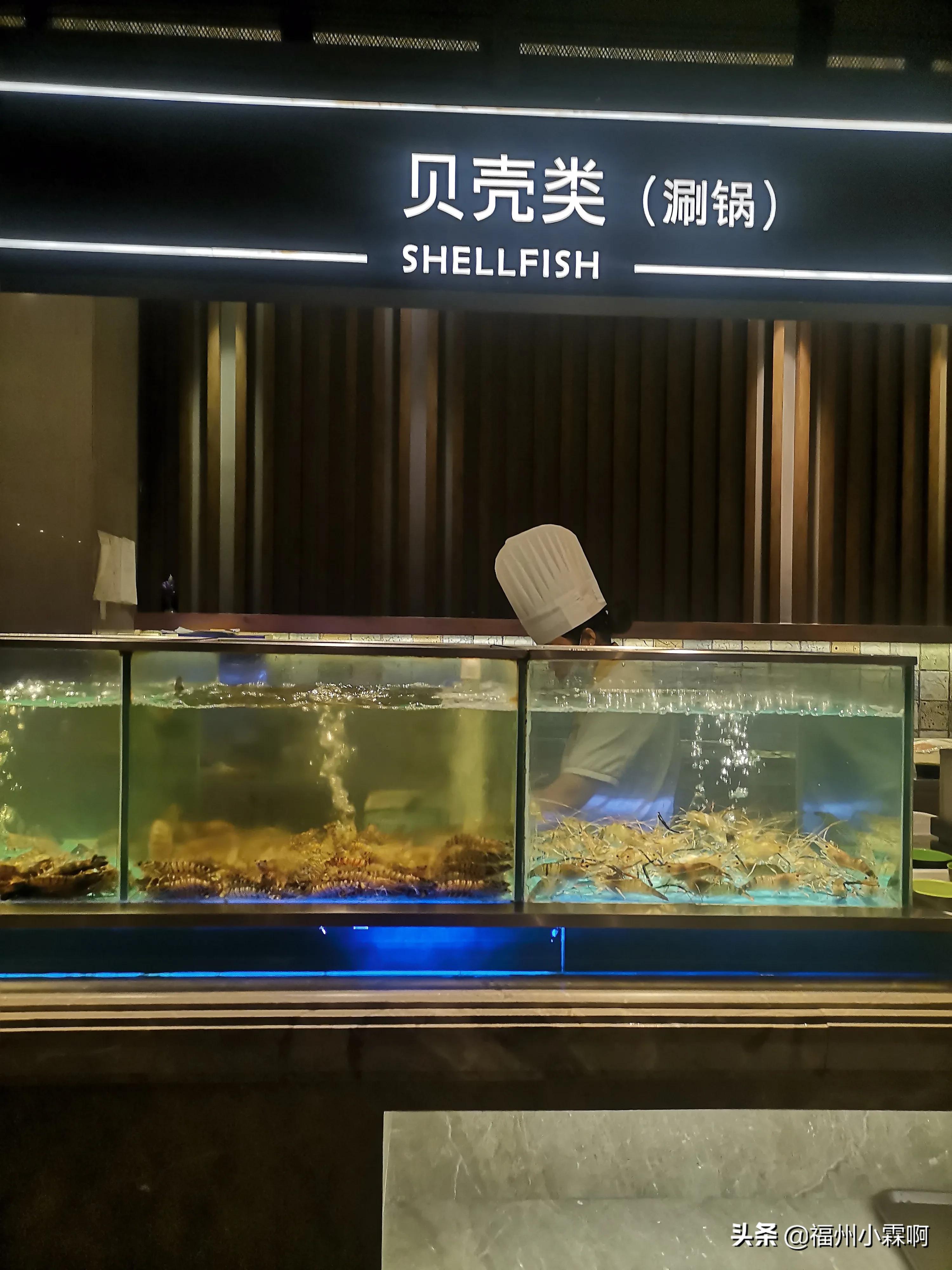 海天盛宴海鲜自助餐厅（正大广场自助餐推荐）-10