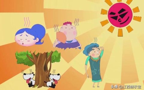 绿豆冬瓜海带汤怎么做_女人喝绿豆海带汤的好处