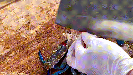 家庭制作香辣蟹的方法（香辣蟹的制作方法和教程）-8