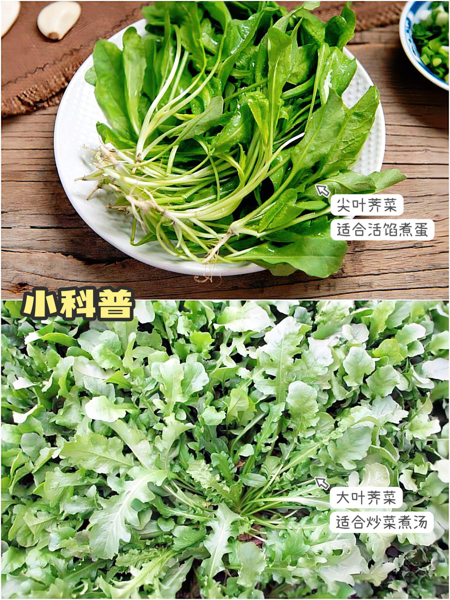 野菜的做法大全家常炒菜（图解）-2