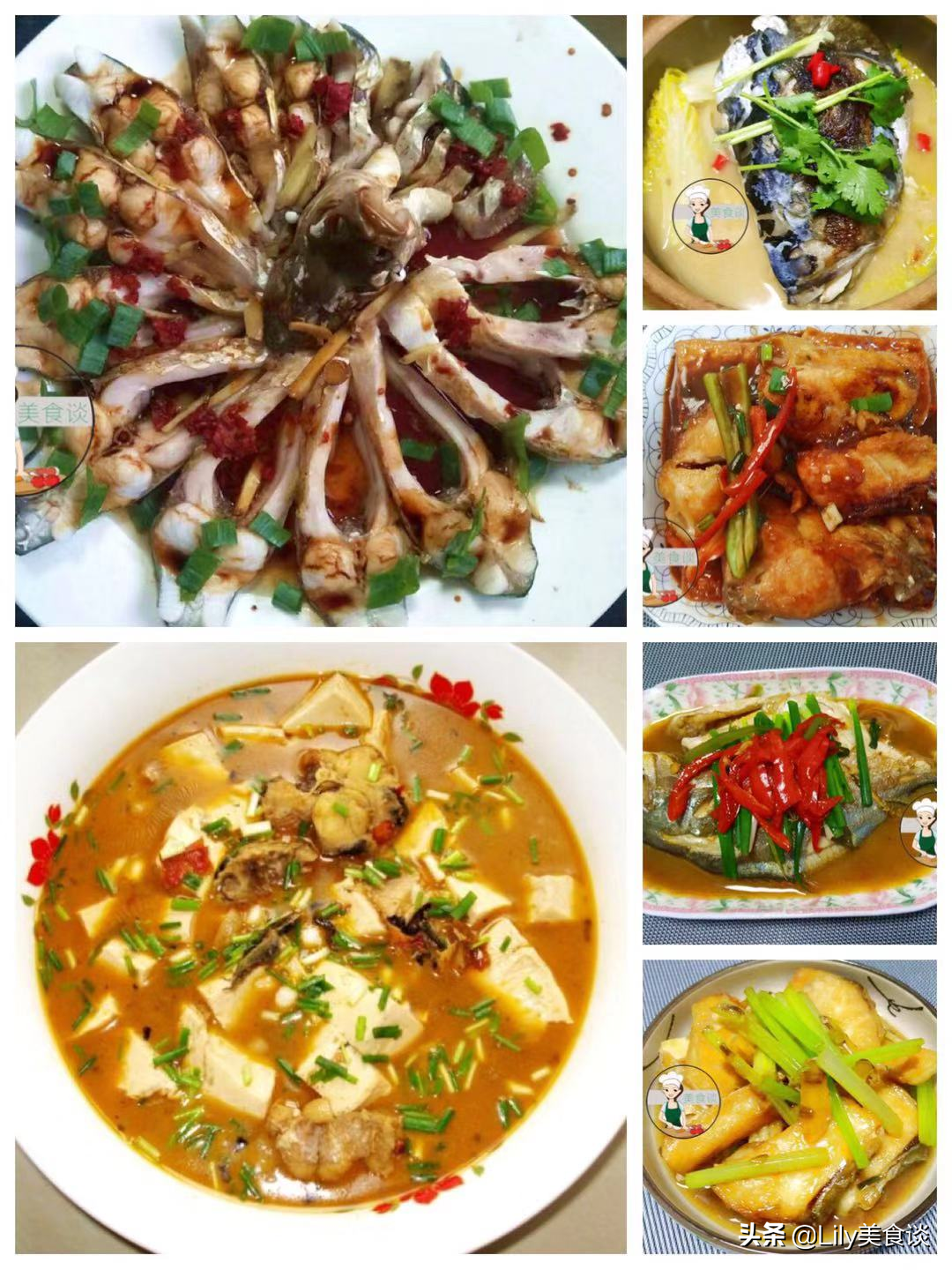 豆腐红烧鱼块的家常做法（家常鱼肉怎么做好吃）-2