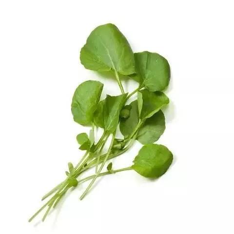 蔬菜沙拉一般用什么蔬菜？-14