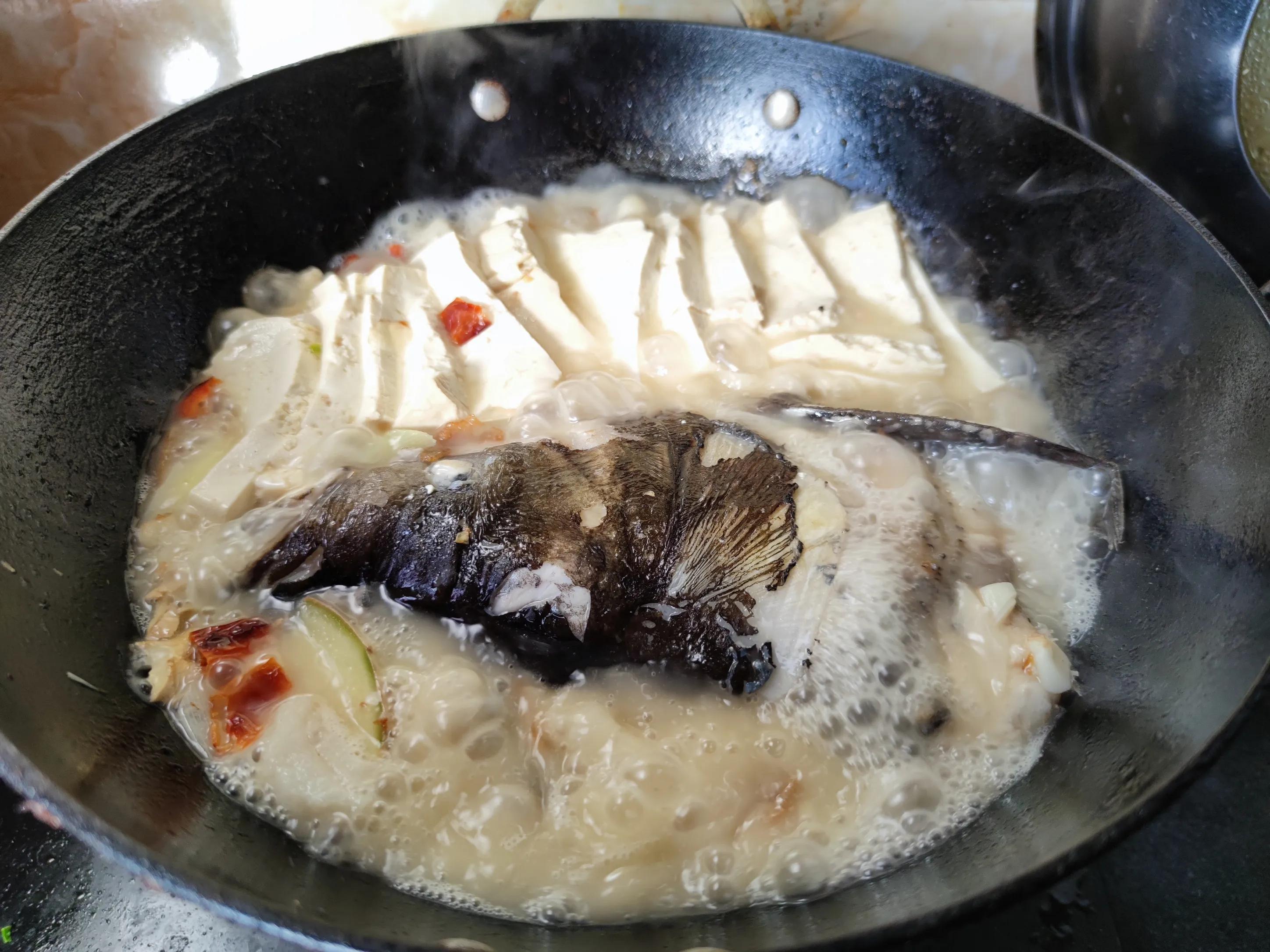什么鱼比较适合做鱼汤 鱼汤加什么食材最好吃？-8